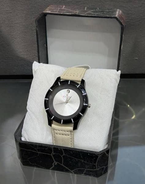 Mens Casual Analogue Watch 2