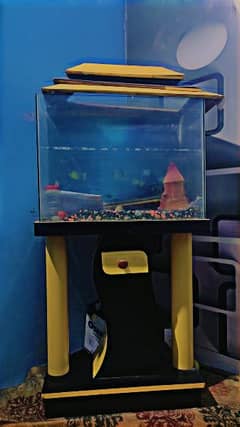 aquarium