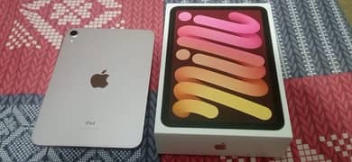 iPad mini 6 pink 0