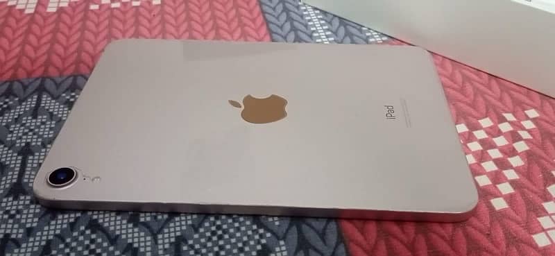 iPad mini 6 pink 1