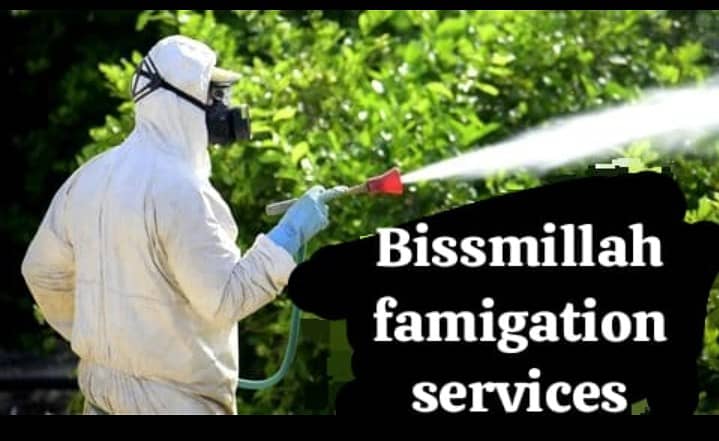 Bissmillah pest control bed bugs lizerd and  famigation services 3