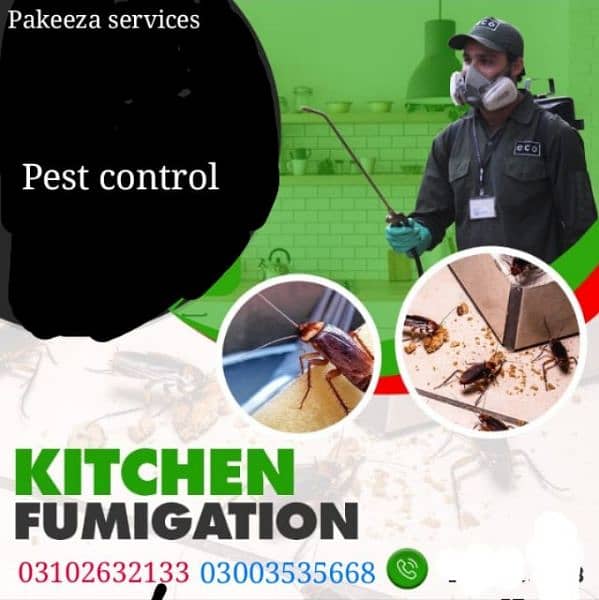 Bissmillah pest control bed bugs lizerd and  famigation services 6