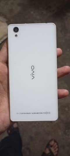 Vivo