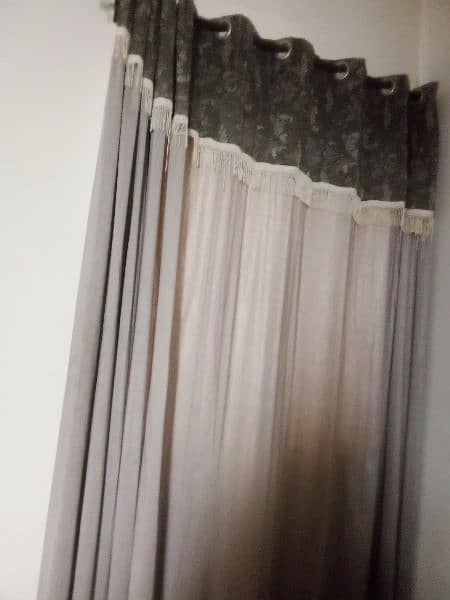 Used Curtain for sale in  bonanza jursi in  very good conduction 1