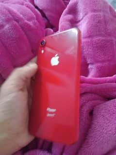 iphone xr condition 10/9 bilkul saf set h