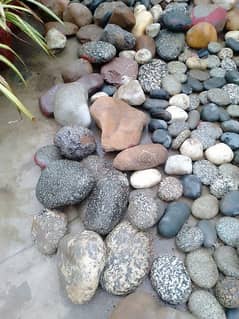 Garden decorating rocks.