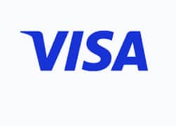 company visa available