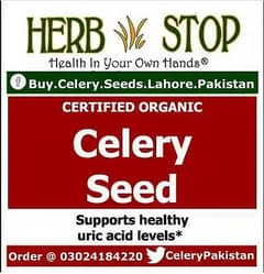 Celery Seeds Pakistan for Multi Health purpose