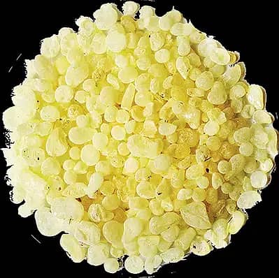 BUY RAW MASTIC GUM LAHORE PAKISTAN 1