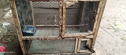 2 square feet cage for birds