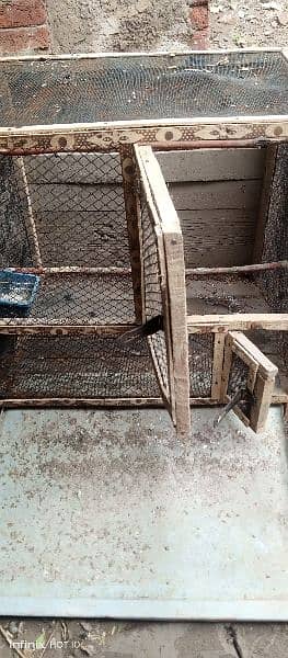 2 square feet cage for birds 2