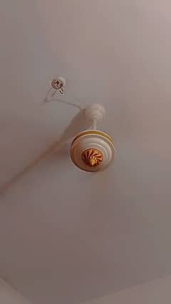 luxury copper ceiling fans only 5 months used