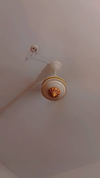 luxury copper ceiling fans only 5 months used 0