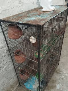 bajree parrots With cage 0