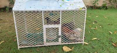 Birds Cats Cage 3feet × 1.5 Feet 0