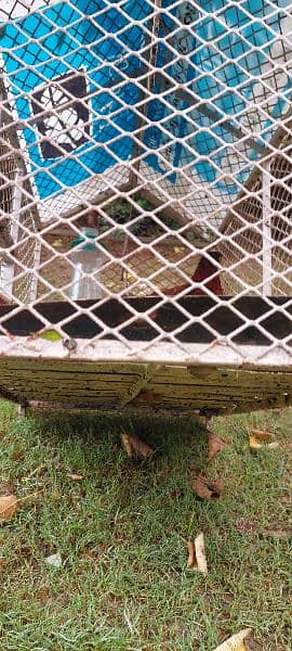 Birds Cats Cage 3feet × 1.5 Feet 7