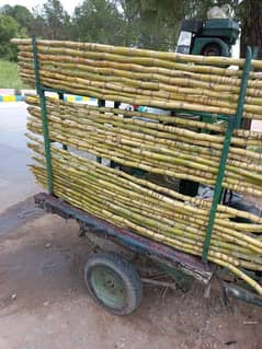 Sugarcane Ganna machine with complete set-up good chingchi