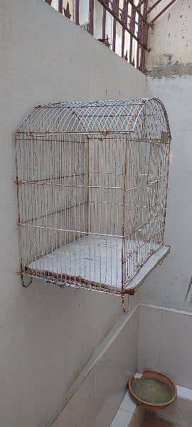 Bird Cage 1