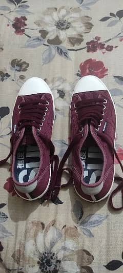 Super dry sneaker, size UK 10, condition excellent