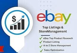 E-commerce manager (eBay)