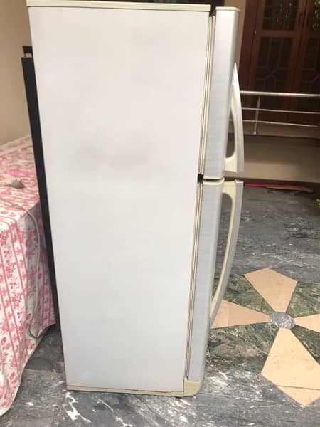 Pel Refrigerator 1