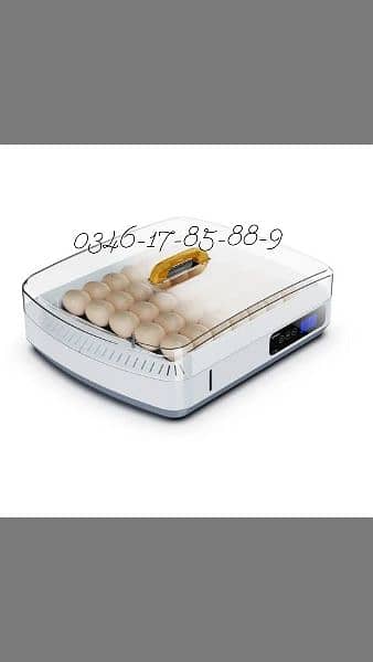 Incubator & Brooder 6