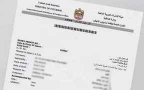 Dubai 2 Year work Visa Permit No Advance Payment 0