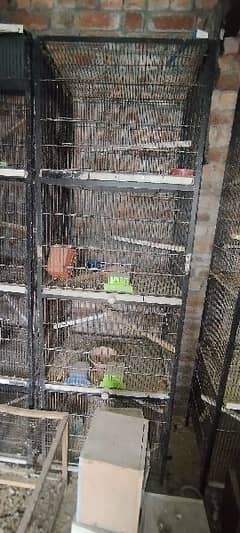 Birds Cage for sale