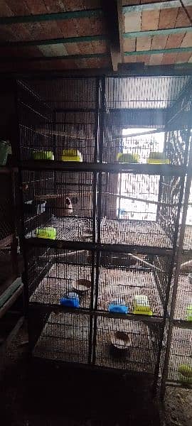 Birds Cage for sale 2