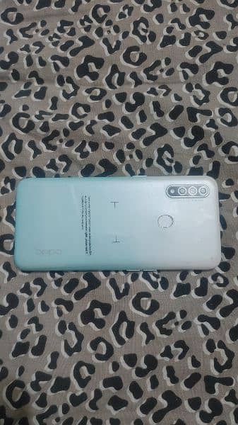 Oppo A31 Mobile 0