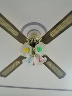 fancy fan its jus new. . . 0