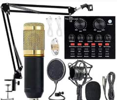 BM800 Condenser Mic