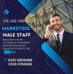 we are Hiring Marketing Staff for Our Office 0