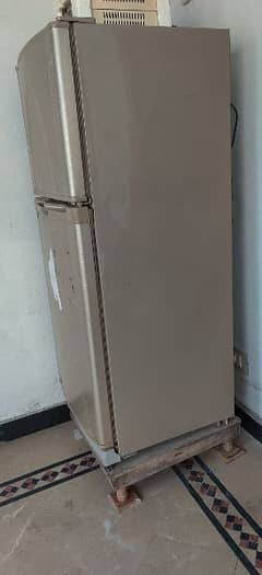 fridge