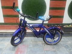 Bicycle for 4 to 8 years