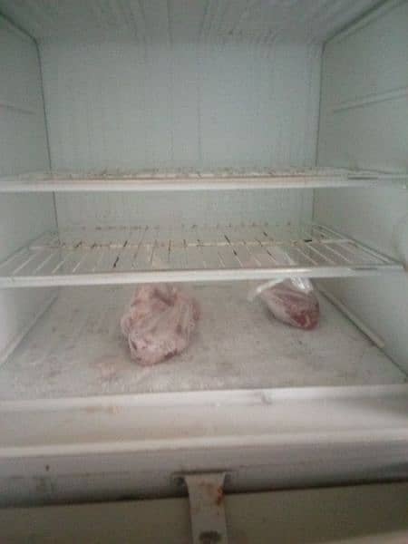 fridge for sale olx 2