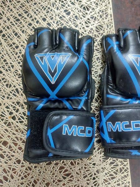 MMA gloves 1