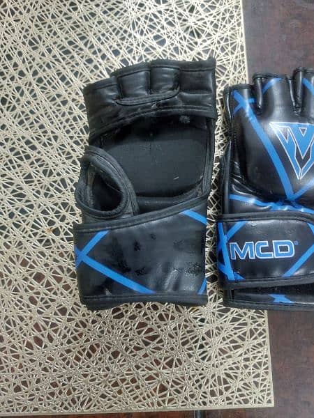 MMA gloves 2