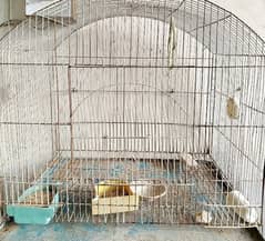 cage available for sale