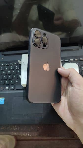 iPhone 15 Pro Max case 1