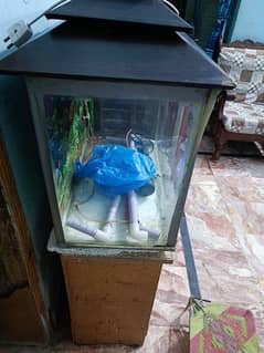 fish aquarium