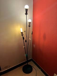 Stylish Floor Lamp with bulbs 0