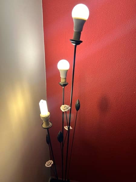 Stylish Floor Lamp with bulbs 1