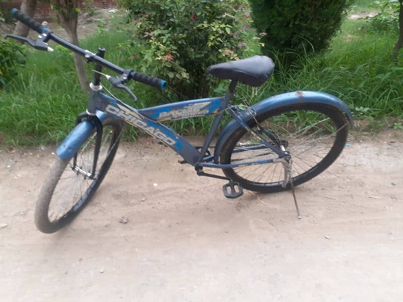 New cycle  03004423927 1