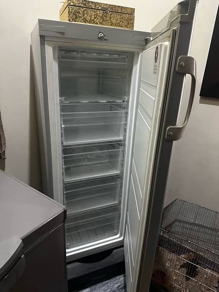 new freezer 1