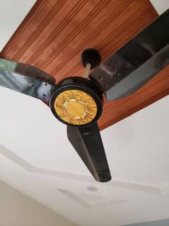 ceiling fan for