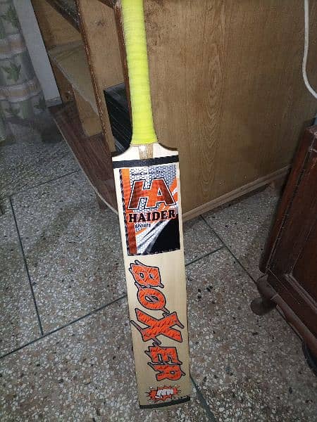 Cricket Bat & Wicket 2