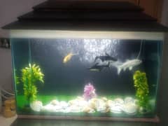 aquarium for sale