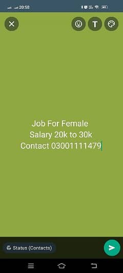 Job For Females 0