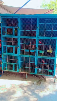 Cage for sale